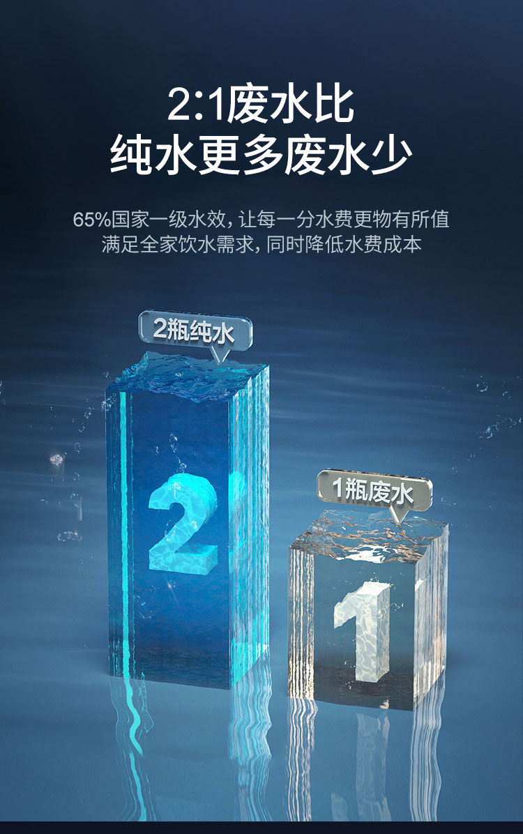 末端直饮净水器BR-RO100