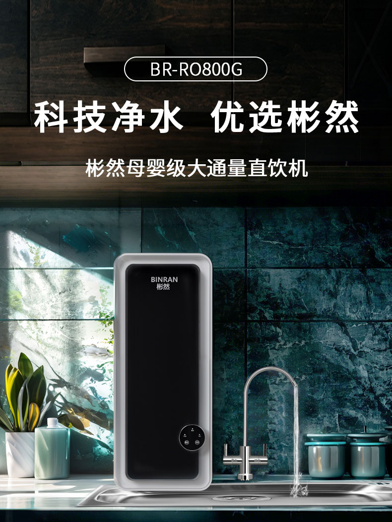 末端直饮净水机 BR-RO800